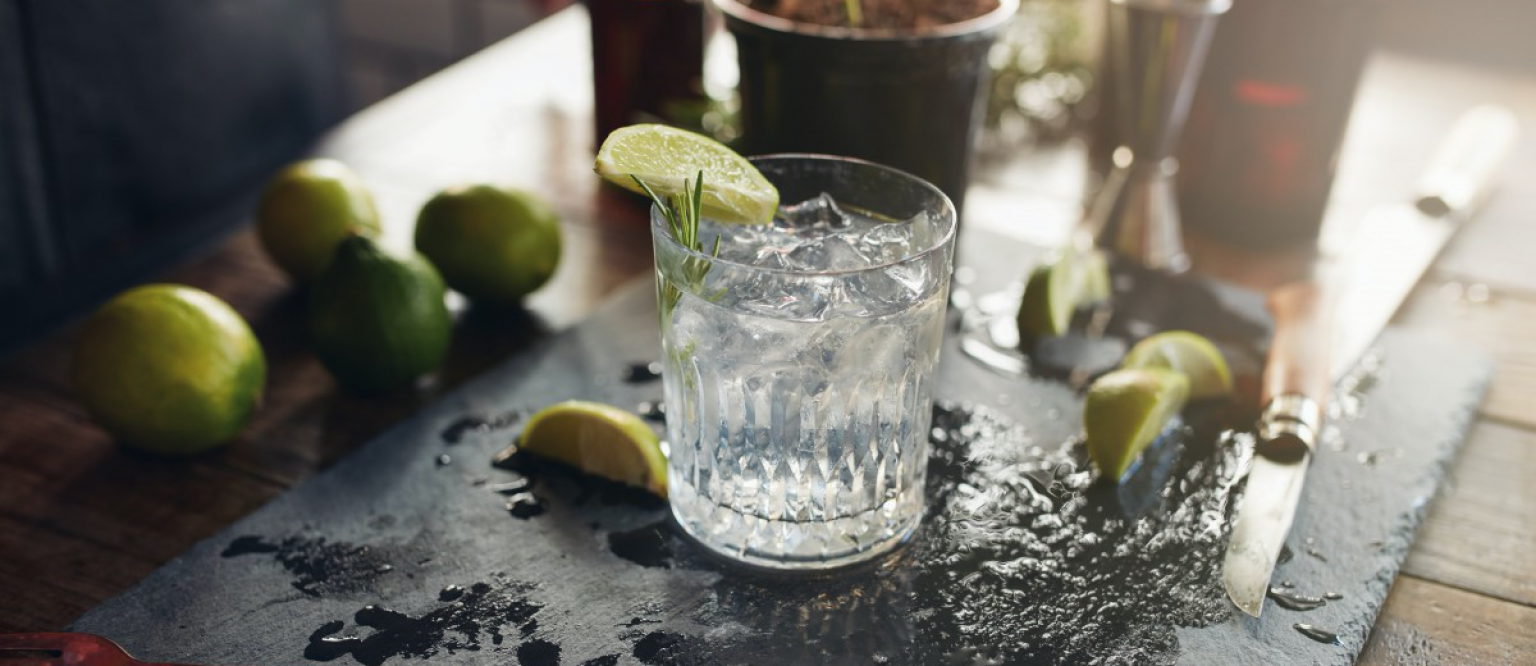 Did You Know That Gin Has A Ton Of Health Benefits And Can Prevent