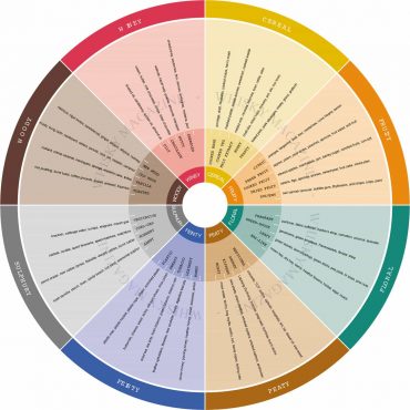 The Whisky Flavour Wheel: Tasting Whisky With A Beginner's Palate - The ...