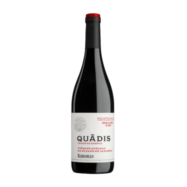 Quadis Criando