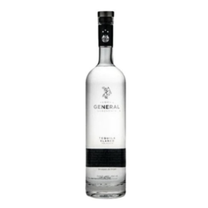 General Gorostieta Blanco